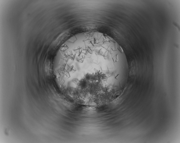 X0000100490140200806271245