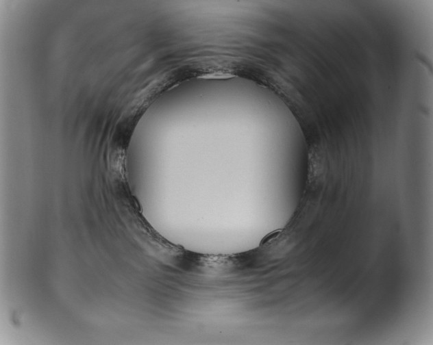 X0000100490141200806271245