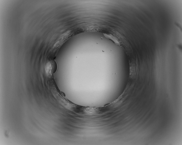 X0000100490142200806271245