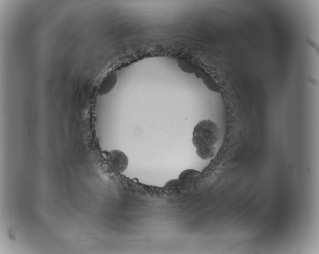 X0000100490144200806271245