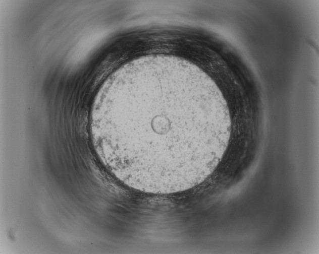 X0000100490146200806271244