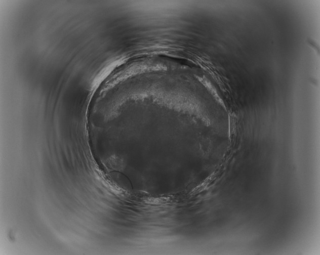 X0000100490147200806271244