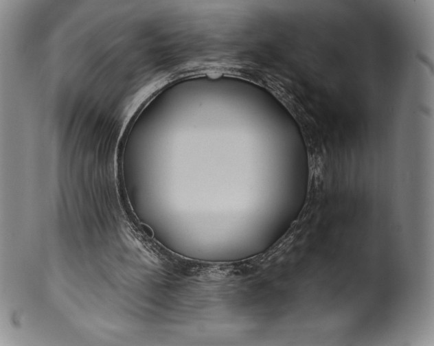 X0000100490148200806271245