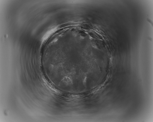 X0000100490149200806271245