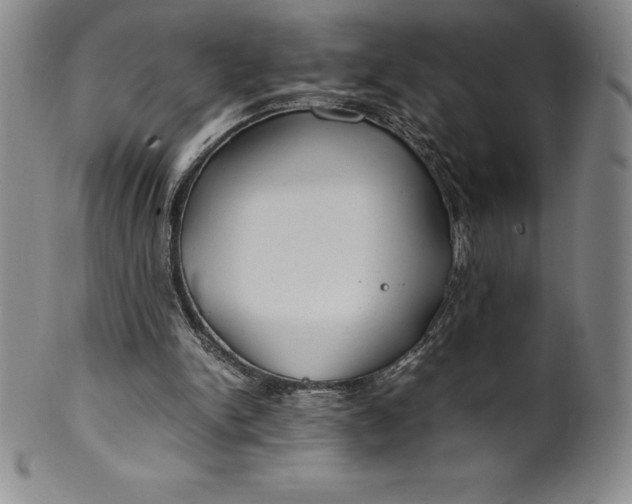 X0000100490150200806271245