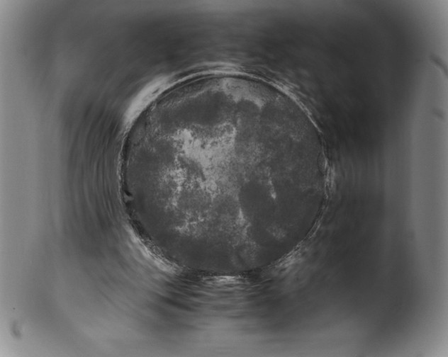 X0000100490151200806271245