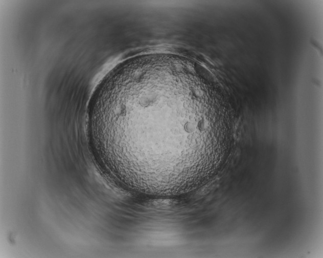 X0000100490152200806271245