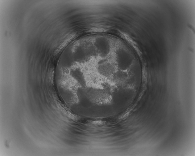 X0000100490153200806271245