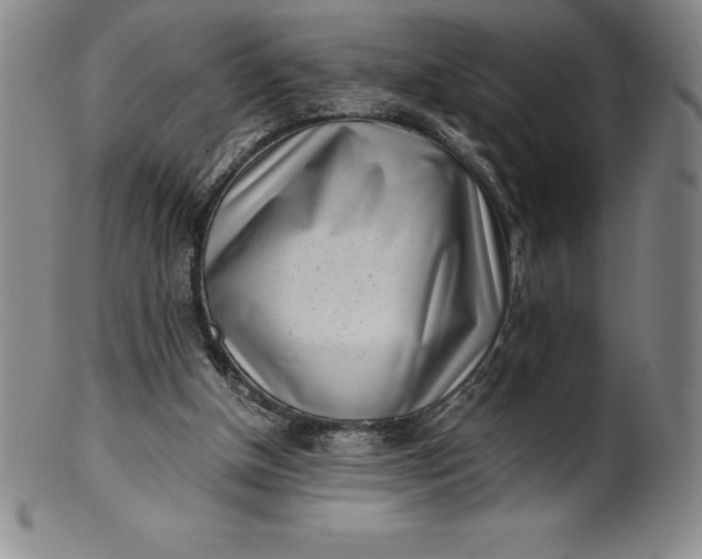 X0000100490154200806271245