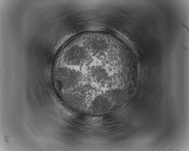 X0000100490155200806271245