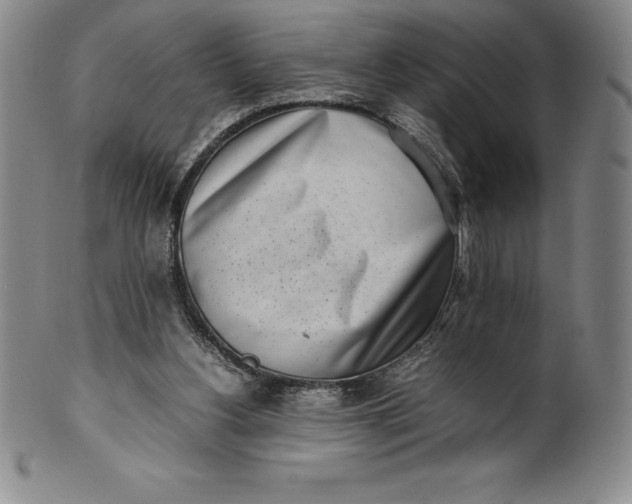 X0000100490156200806271245