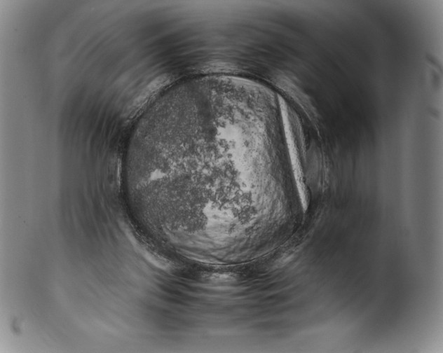 X0000100490157200806271245