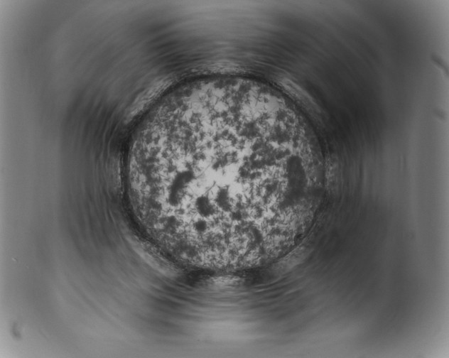 X0000100490158200806271245