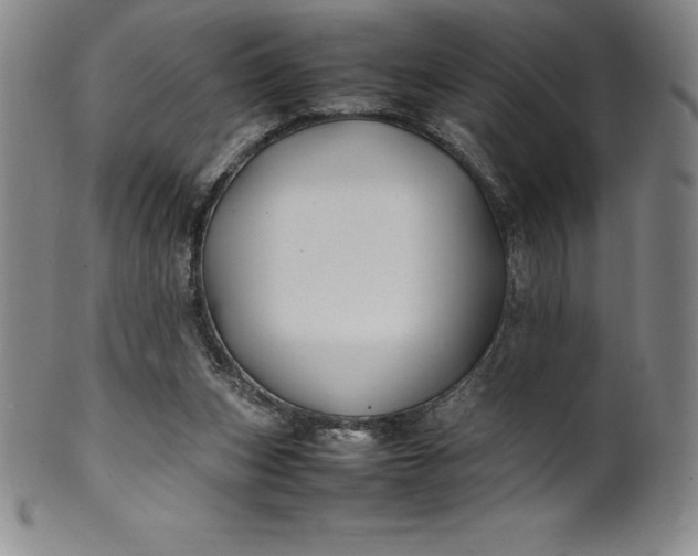 X0000100490159200806271245