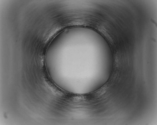 X0000100490160200806271245