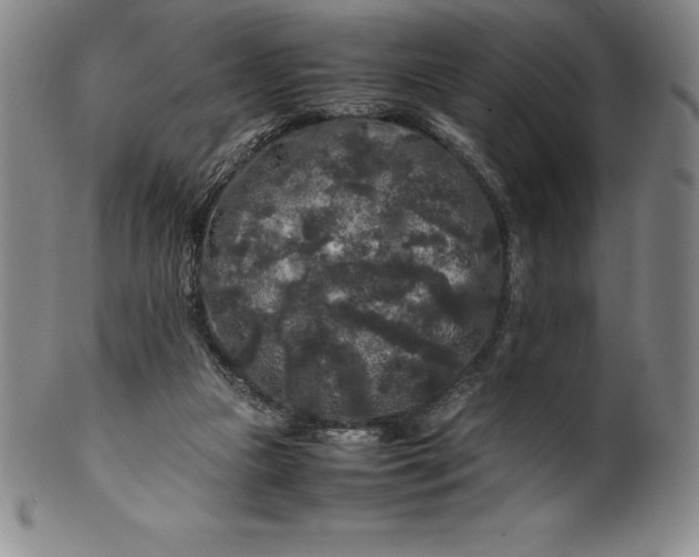 X0000100490161200806271245