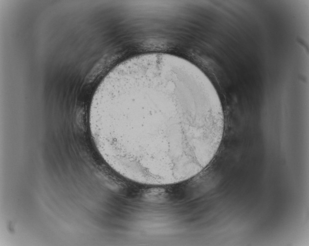 X0000100490162200806271245