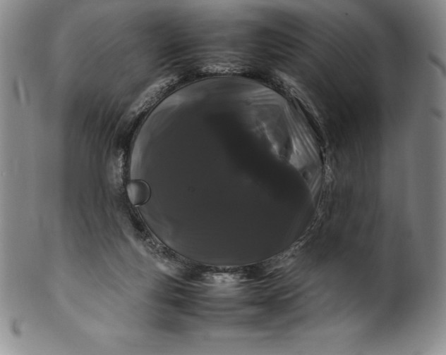 X0000100490163200806271245