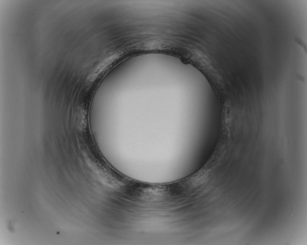 X0000100490164200806271245