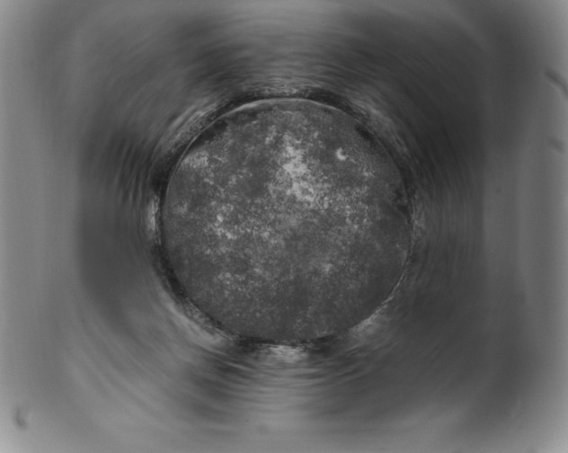 X0000100490166200806271245