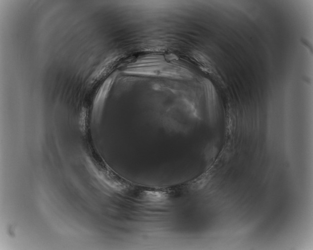 X0000100490167200806271245