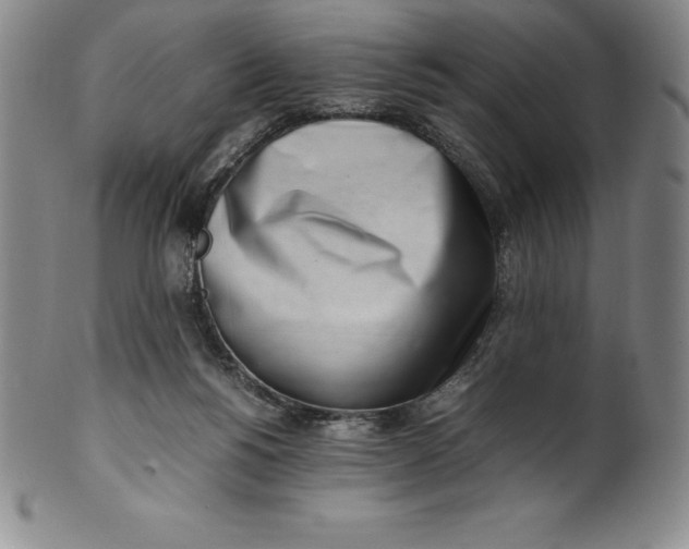 X0000100490168200806271245