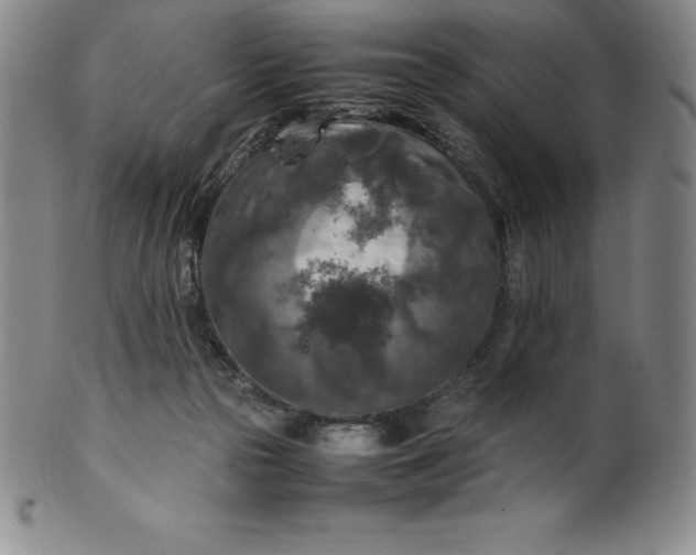 X0000100490169200806271245