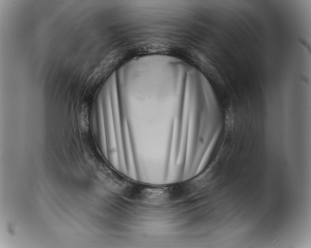 X0000100490170200806271245