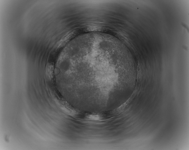 X0000100490171200806271245