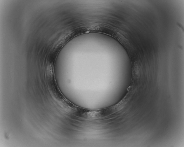 X0000100490172200806271245