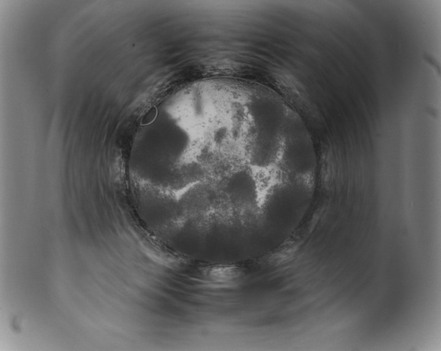 X0000100490173200806271245