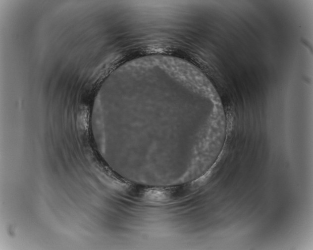 X0000100490174200806271245