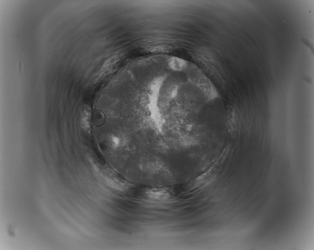 X0000100490175200806271245