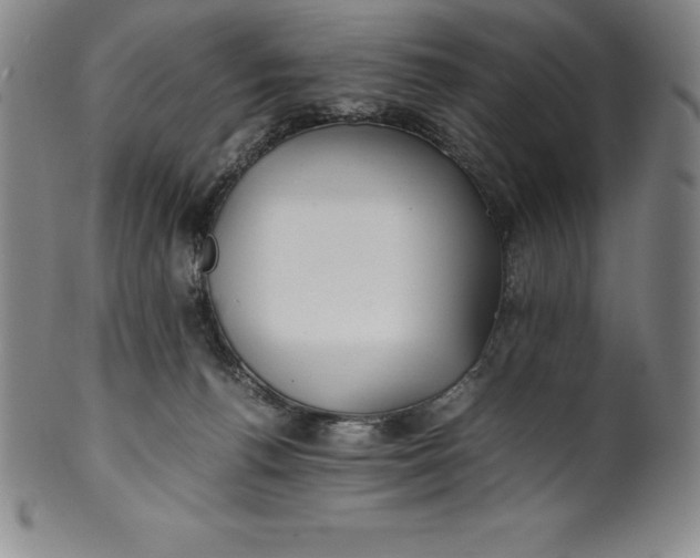 X0000100490176200806271245