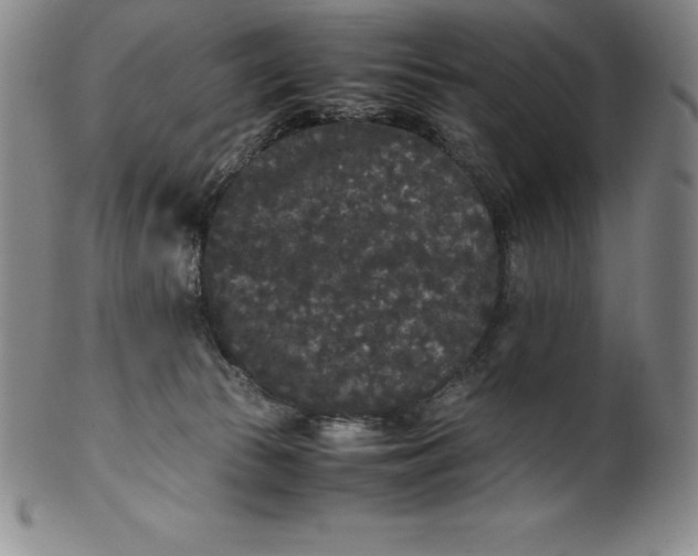 X0000100490177200806271245