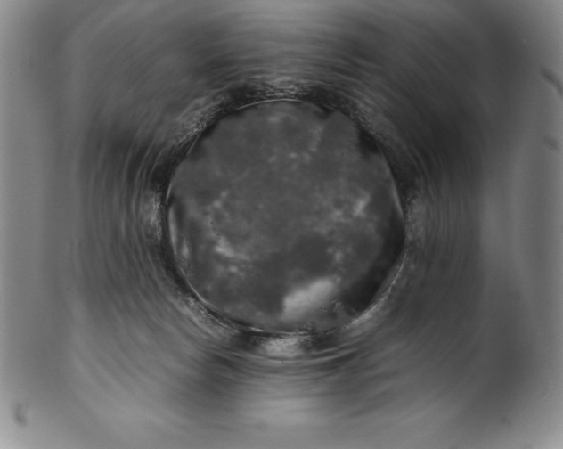 X0000100490178200806271245