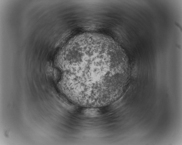 X0000100490179200806271245