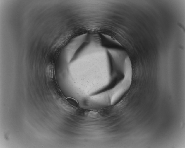 X0000100490180200806271245