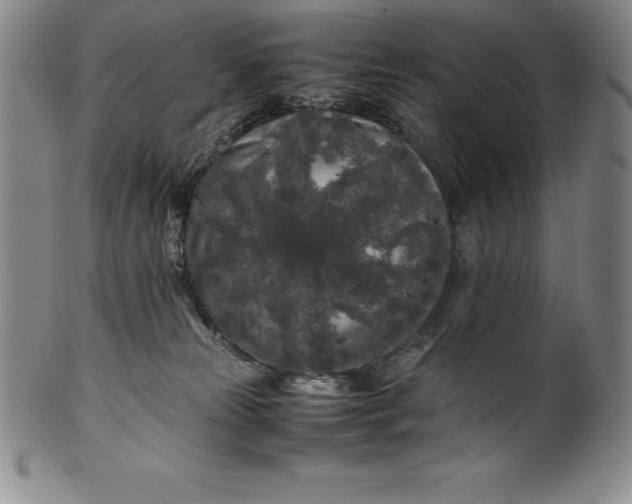 X0000100490181200806271245