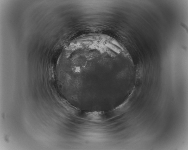 X0000100490182200806271245