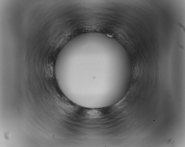 X0000100490183200806271245