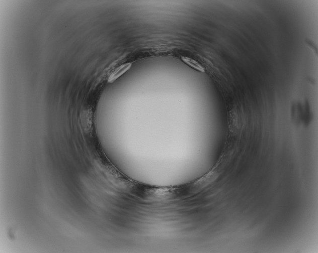 X0000100490184200806271245