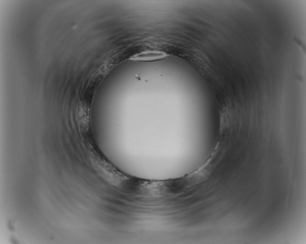 X0000100490186200806271245