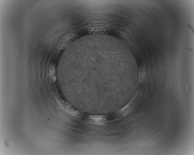 X0000100490187200806271245