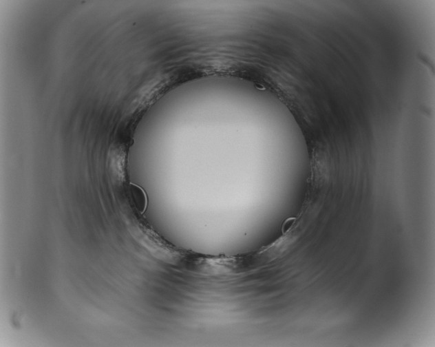 X0000100490188200806271245