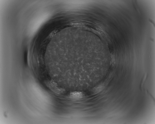 X0000100490189200806271245