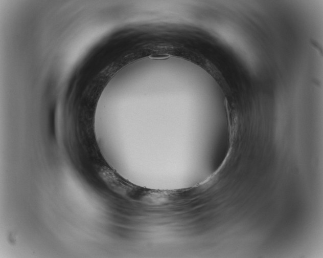 X0000100490190200806271245