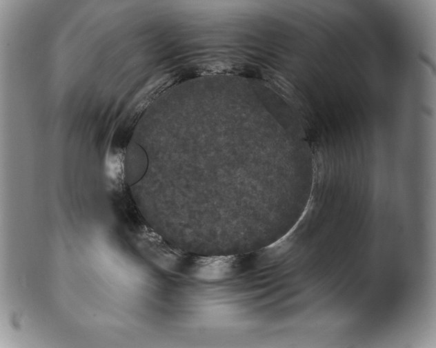 X0000100490191200806271245