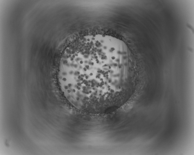 X0000100490192200806271245