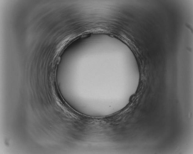 X0000100490193200806271244